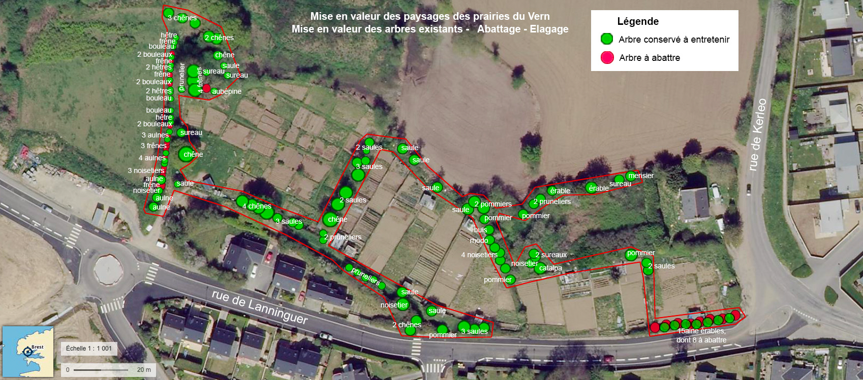 La nature et les arbres au cœur d’un projet urbain