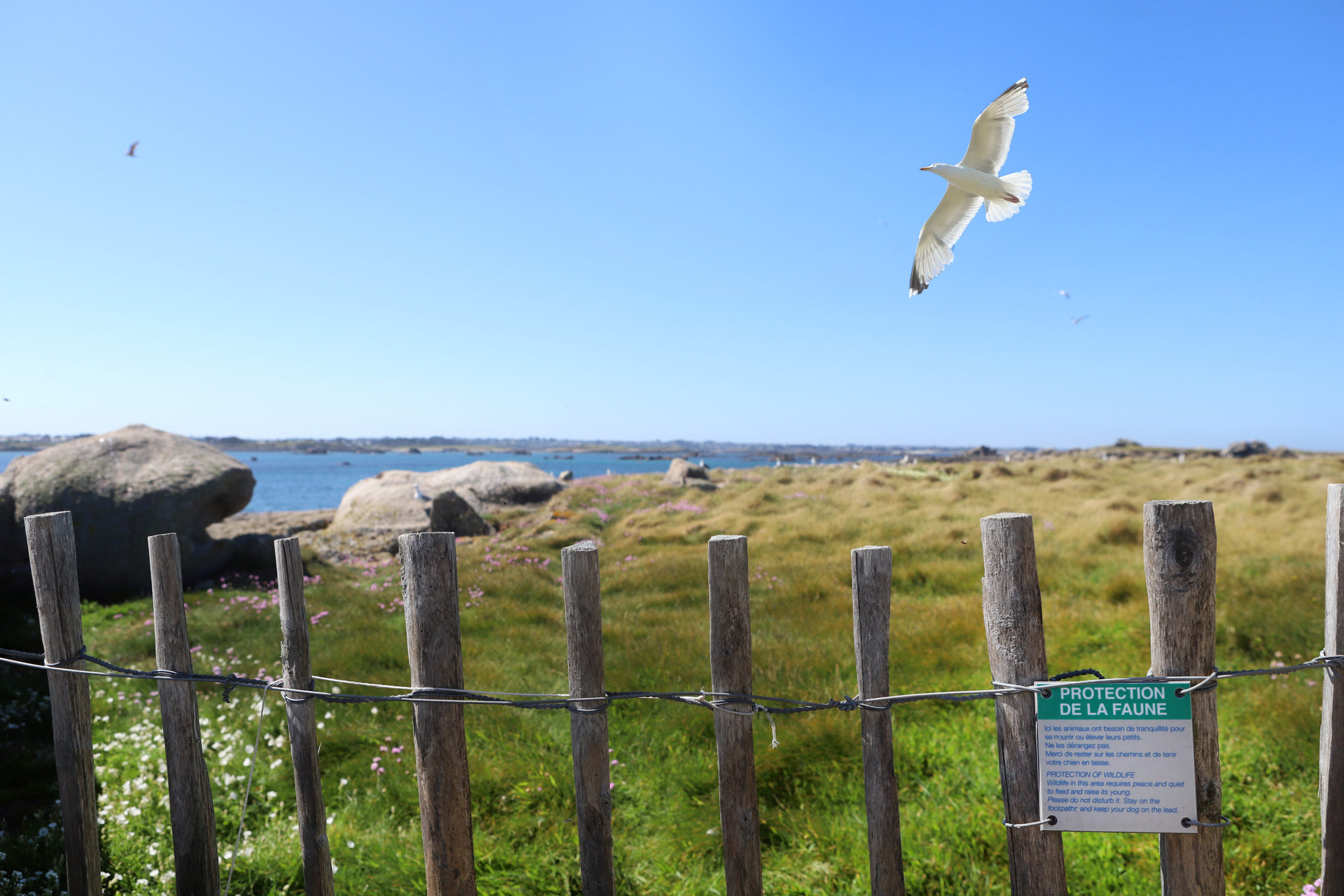 L’Île Vierge : un site naturel à protéger