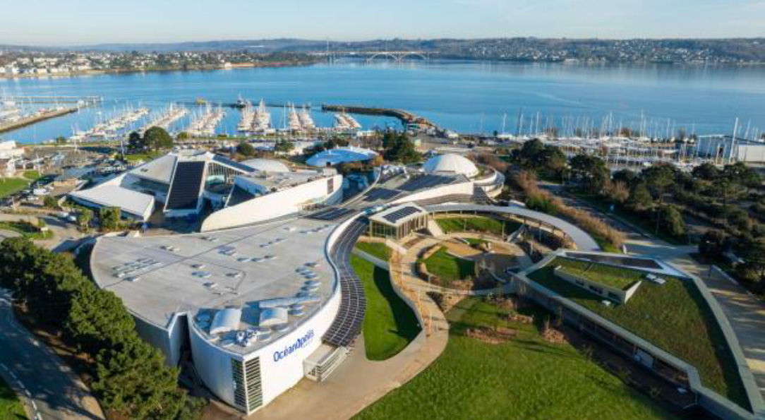 Point info Métamorphose